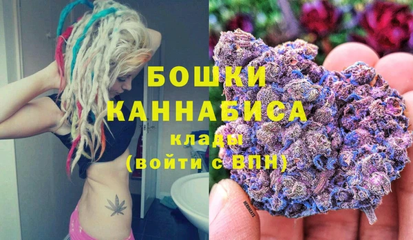 дживик Горнозаводск