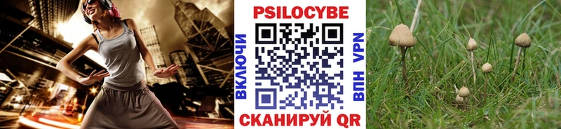 Галлюциногенные грибы Psilocybine cubensis  кракен вход  Меленки  магазин продажи наркотиков 
